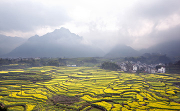 皖南山水油菜花