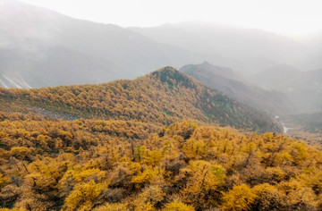 太白山