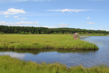 七星湖湿地湖泊风景