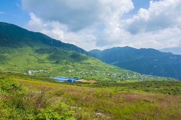 高山花海