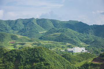 青山和白房子