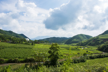 农村风光