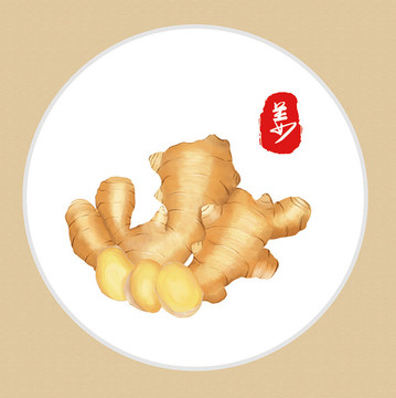 姜手繪生姜
