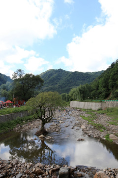 关山草原