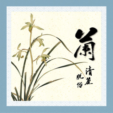 梅兰竹菊兰花