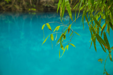 荔波小七孔景区