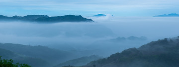 高山云雾