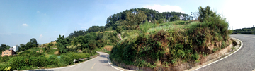 乡村道路风景