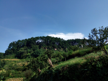 重庆乡村风景