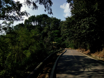 乡村道路风景