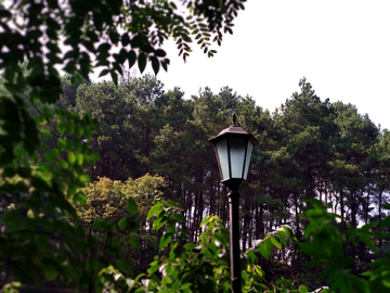 森林公园路灯