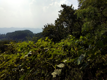 山间风景