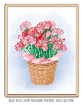 水彩花卉康乃馨图片