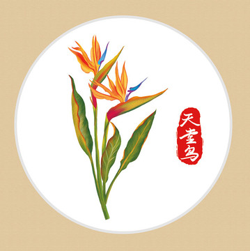 天堂鸟手绘草本花奔