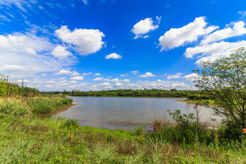 成都青龙湖湿地公园