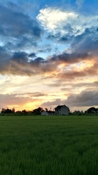 黄昏宁静的乡村美景