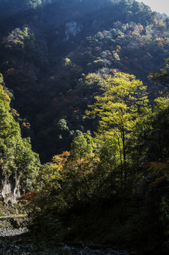 大川秋色