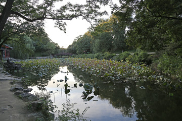 颐和园后湖