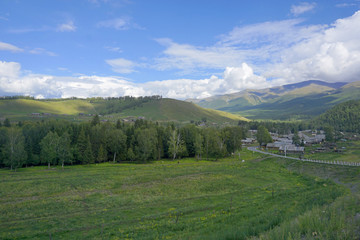 新疆白哈巴村山岗草甸和树林