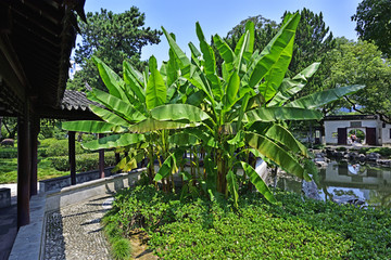 宁波月湖公园芳草洲