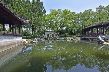 月湖公园芳草洲