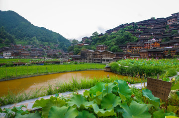 西江风景