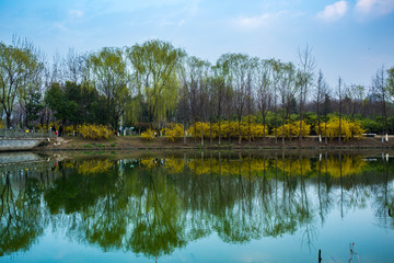 水天相印的生态公园