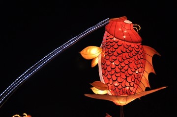 鲤鱼花灯