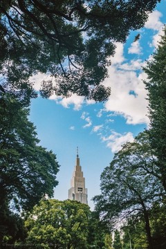 日本东京