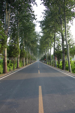 乡村村柏油公路