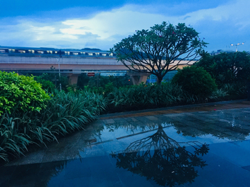 雨后风景