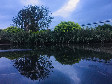 雨后风景