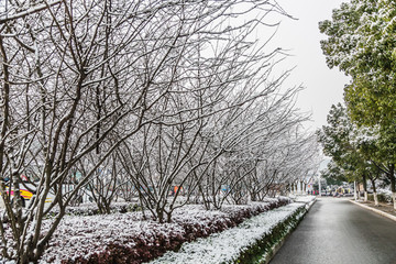 城市雪景