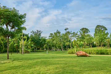 公园草地树林