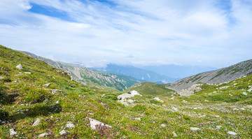 太白山野花草甸