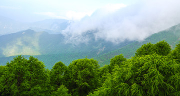 苍翠太白山