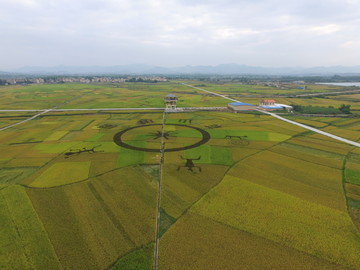 花山田园