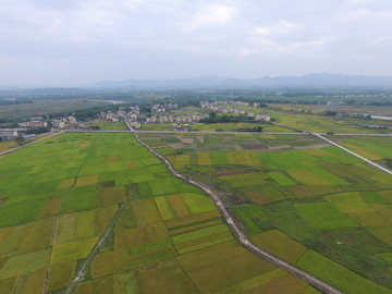 花山田园