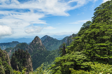 黄山梦笔生花