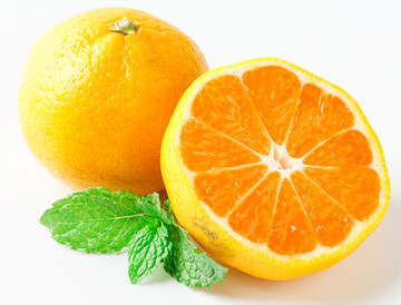 蜜橘高清白底
