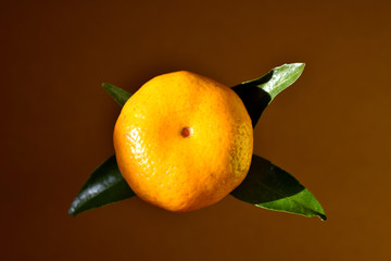 橘子特写