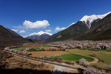 波密桃花沟