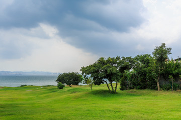刘公岛的蓝天白云绿树草坪风光