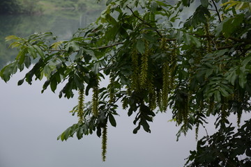 秋浦渔村