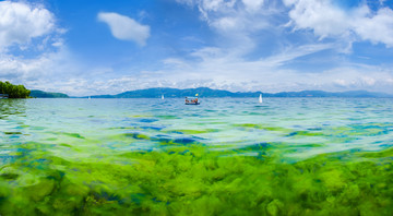 抚仙湖绿藻湖景风光