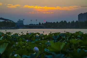 莒南鸡龙河湿地公园