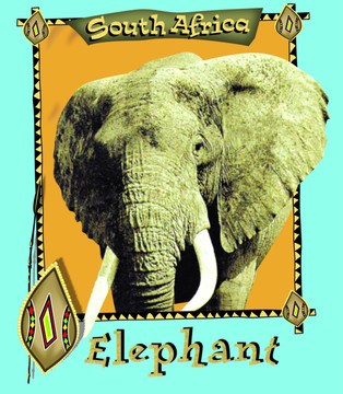 大象怀旧装饰画
