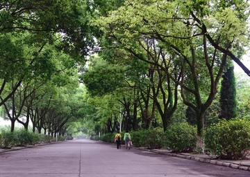 上学路上