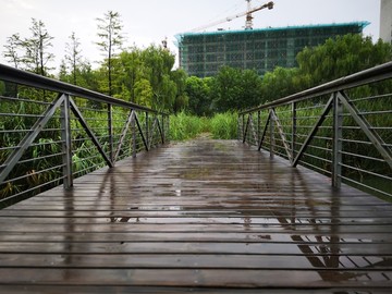 暴雨过后