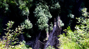 长白山大峡谷